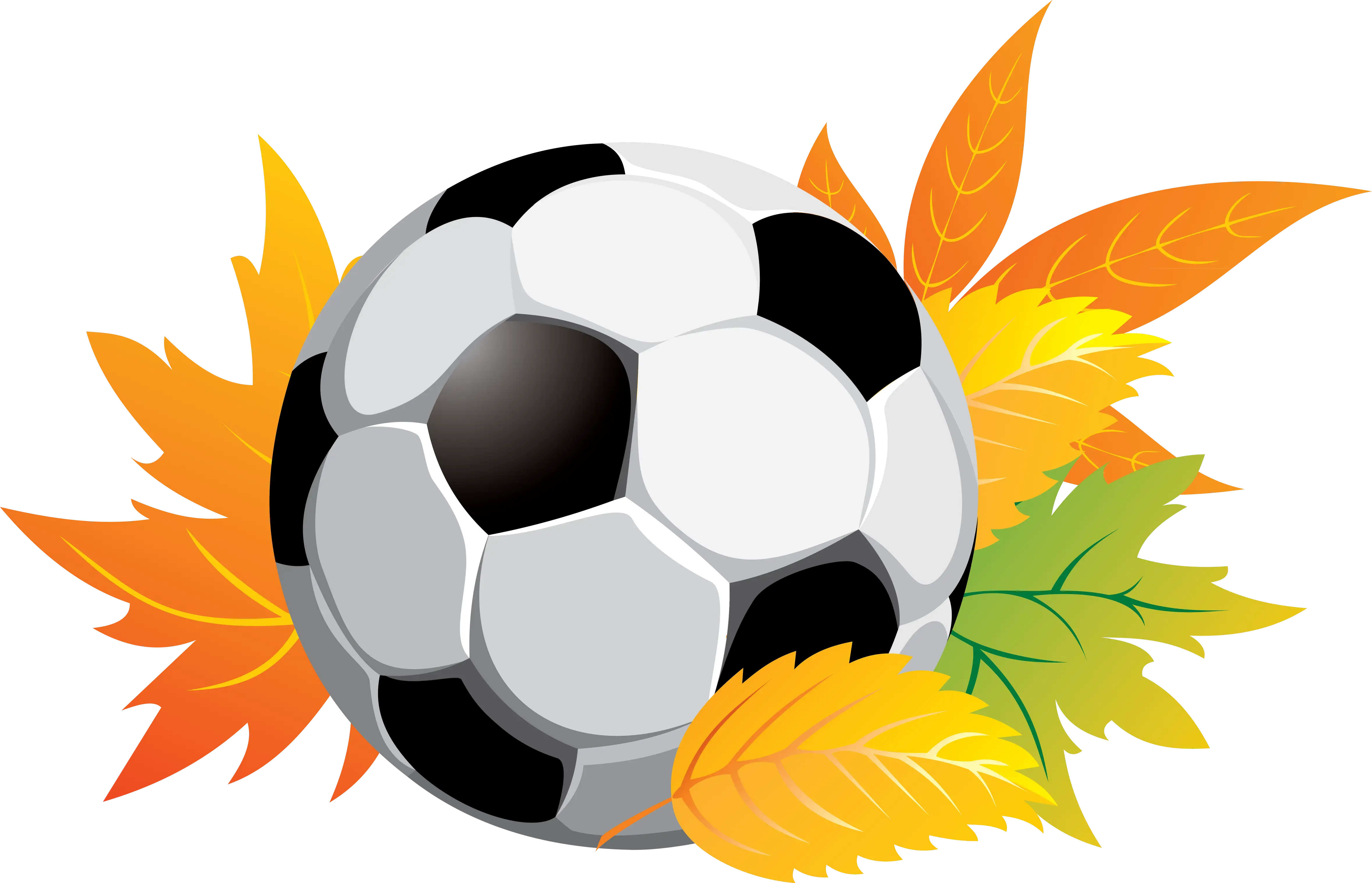 Soccer Ball with Autumn Leaves