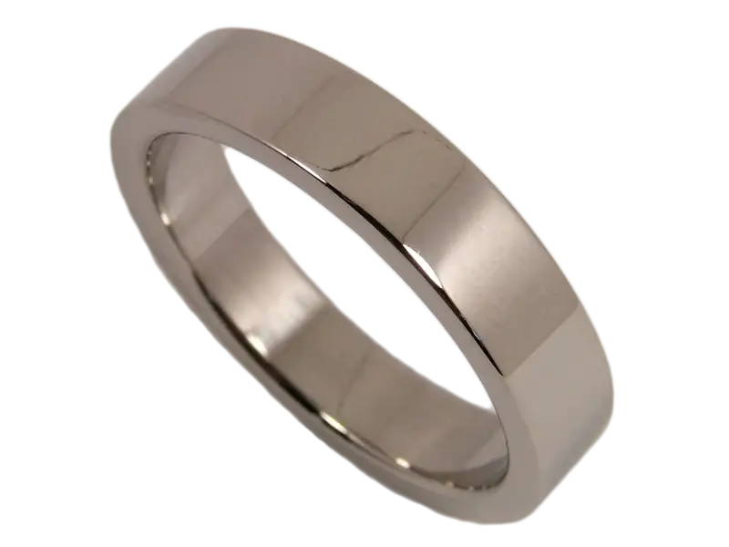 Simple and Elegant Titanium Ring