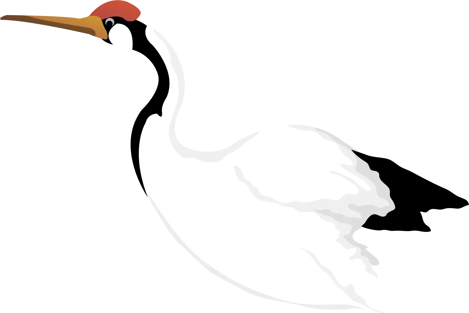 Graceful White Crane with Red Crown