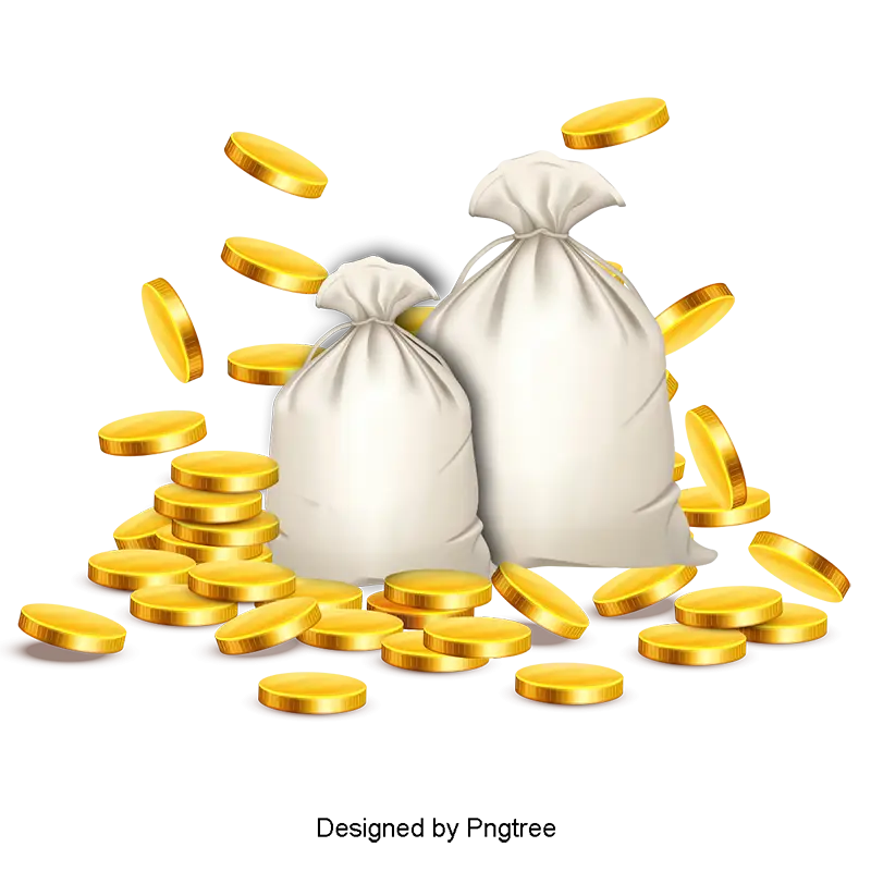 Money Bags and Gold Coins