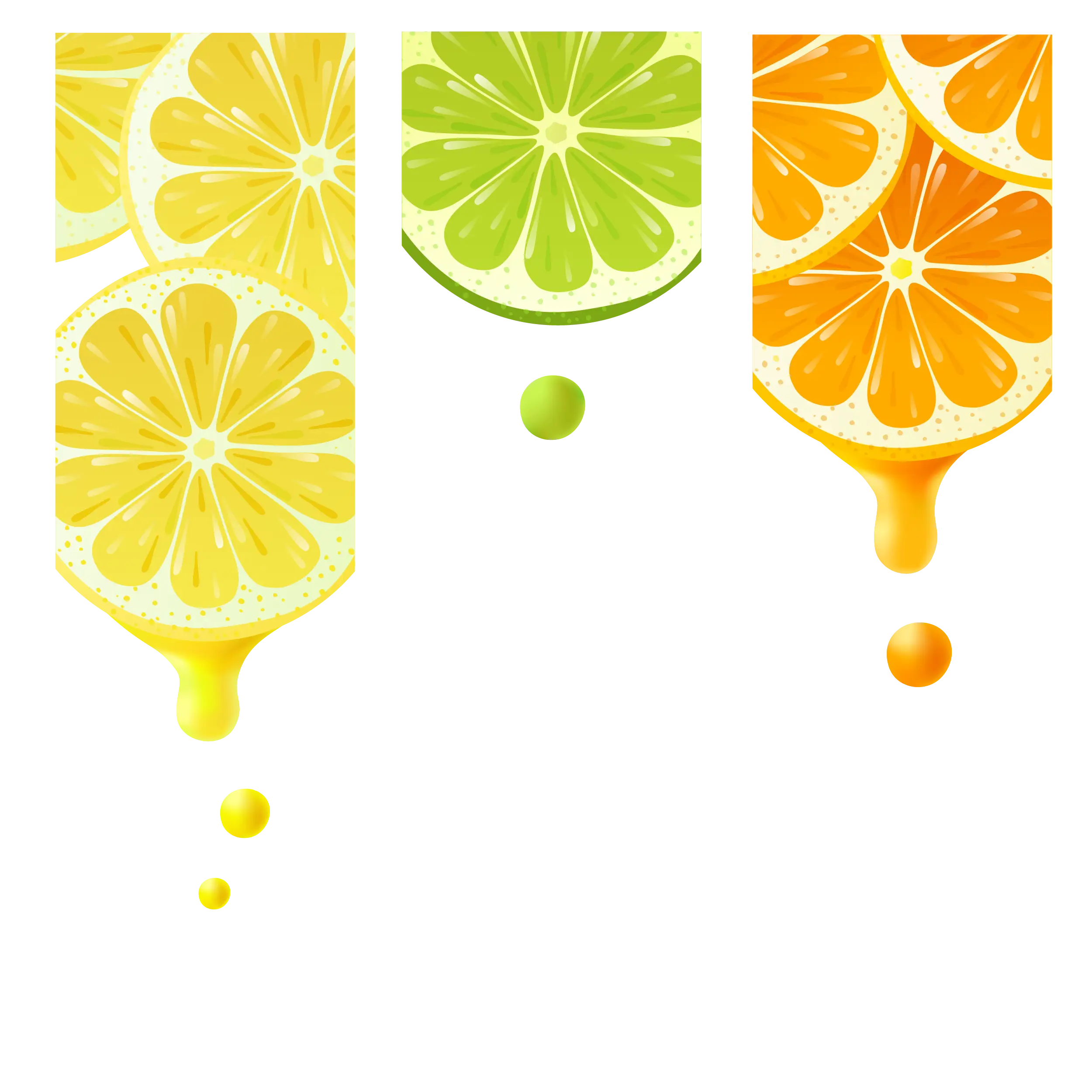 Colorful Citrus Slices with Juice