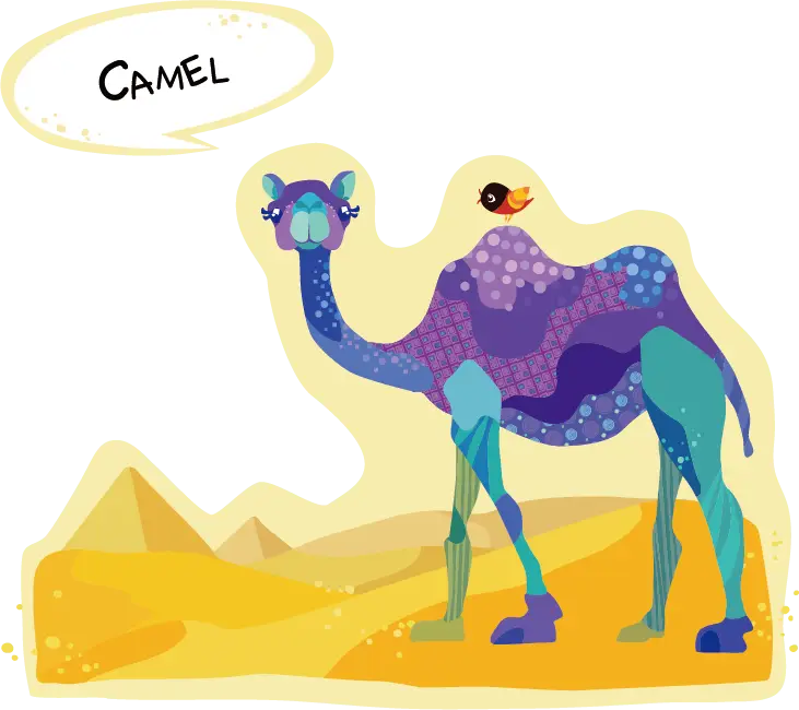Colorful Camel in Desert