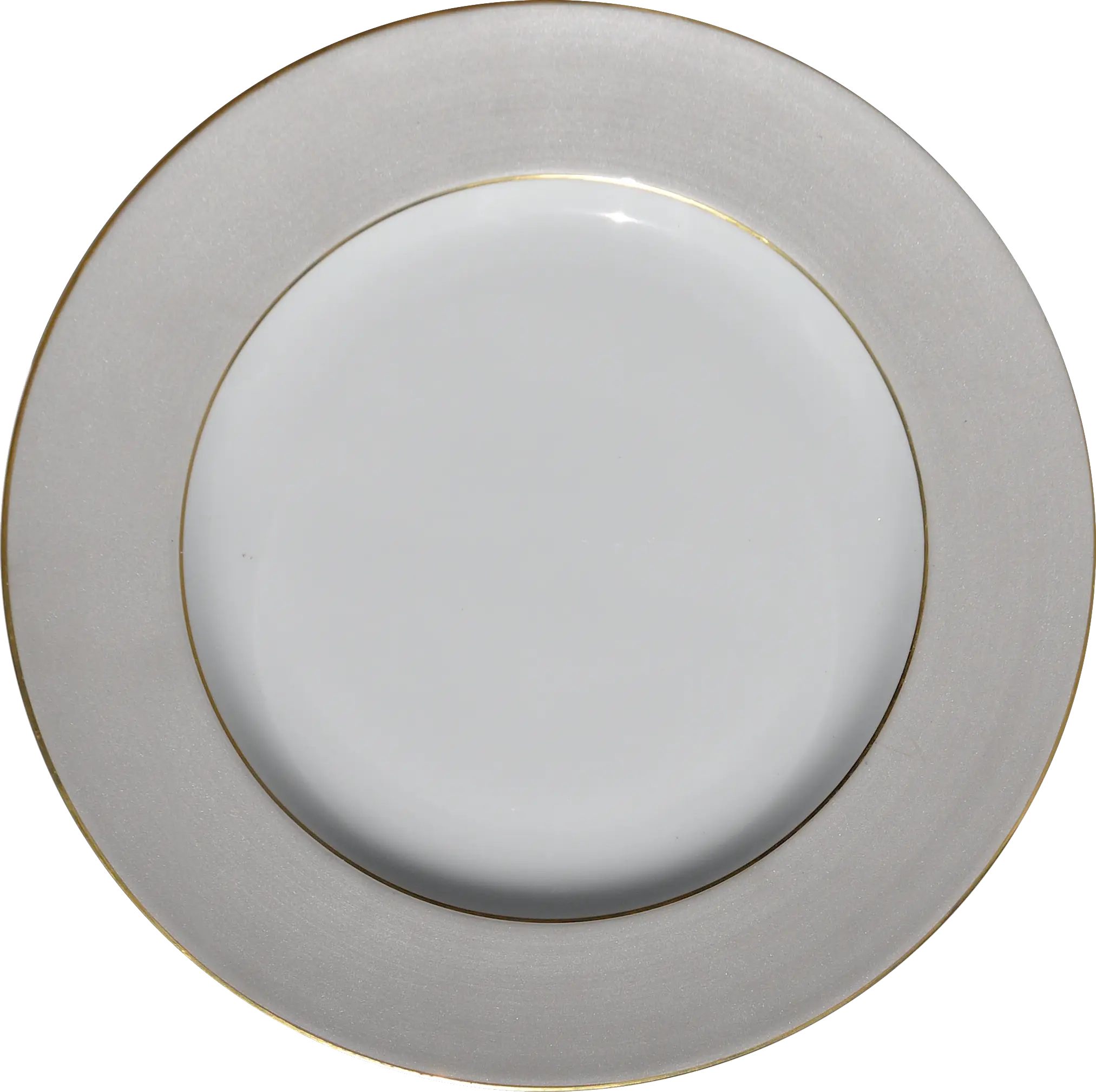 Elegant Dinner Plate with Gold Rim