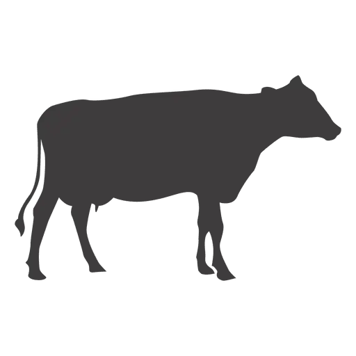 Silhouette of a Black Cow