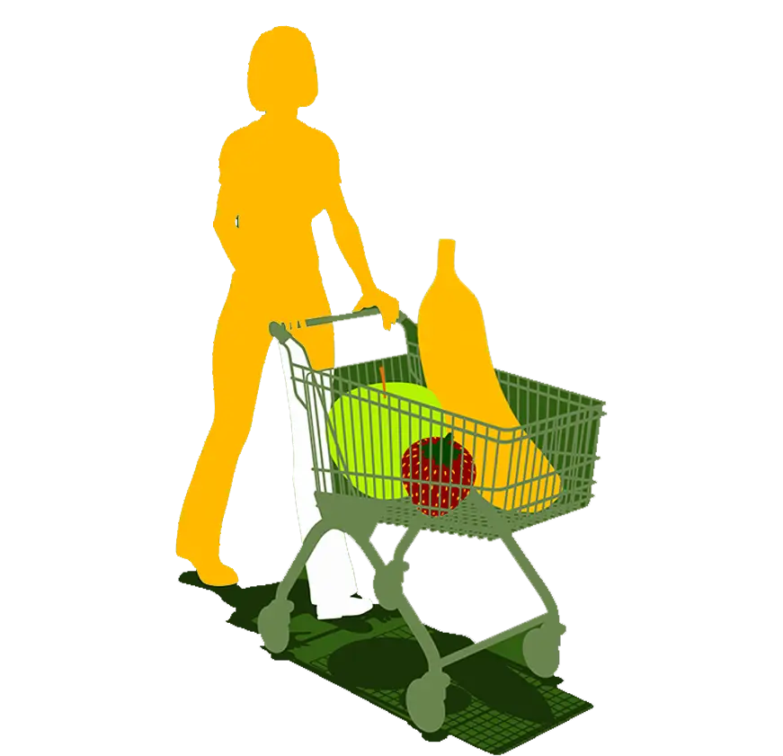 Woman with Shopping Cart