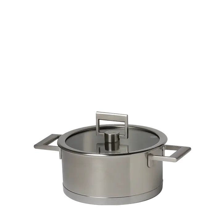 Stainless Steel Cooking Pot with Glass Lid