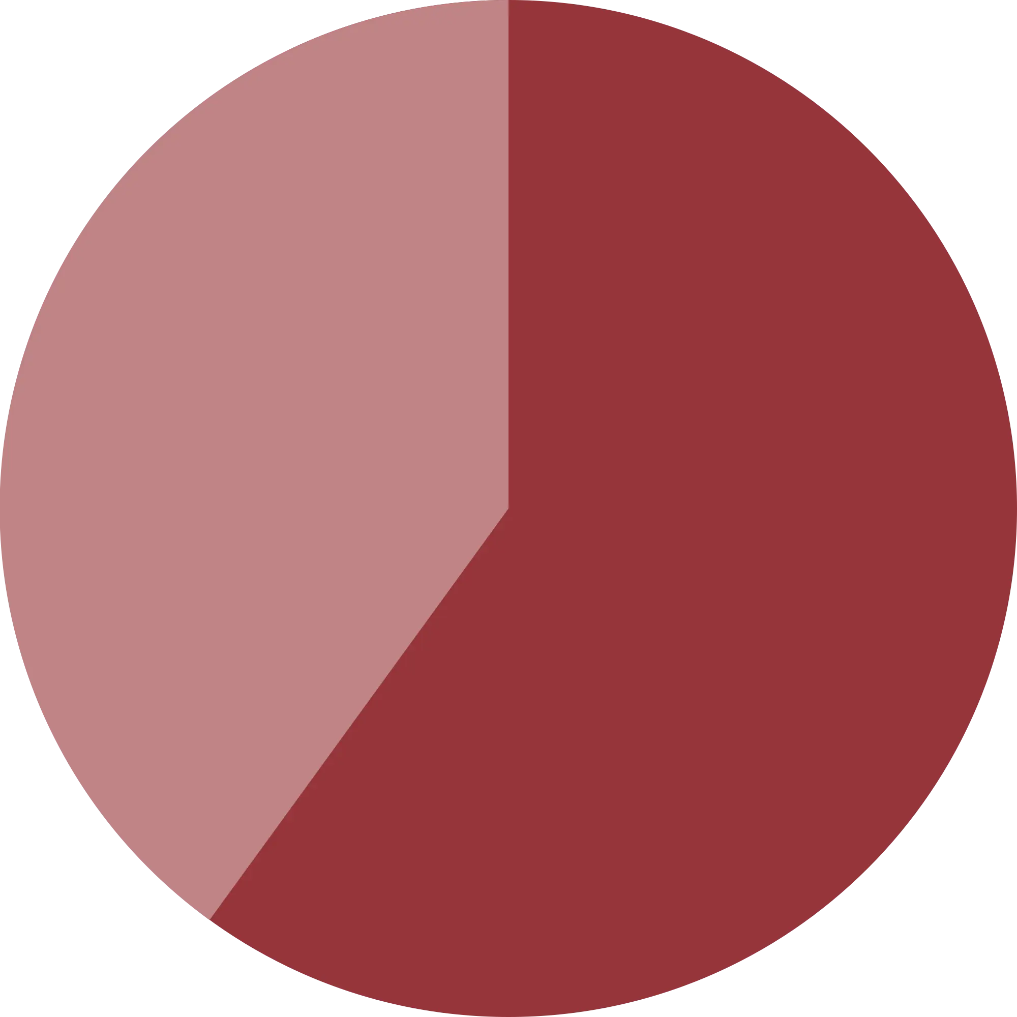 Two-Section Pie Chart in Red for Data Analysis