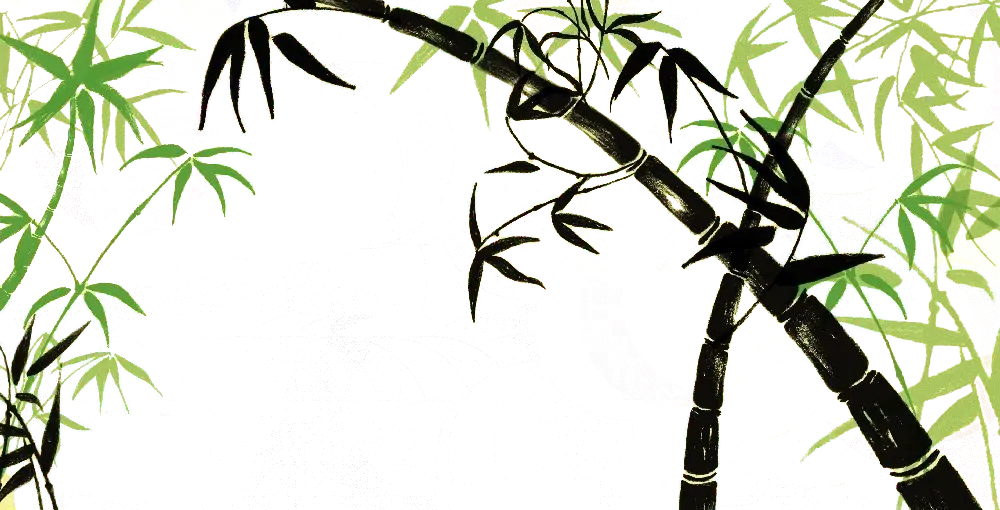 Bamboo Plants Illustration