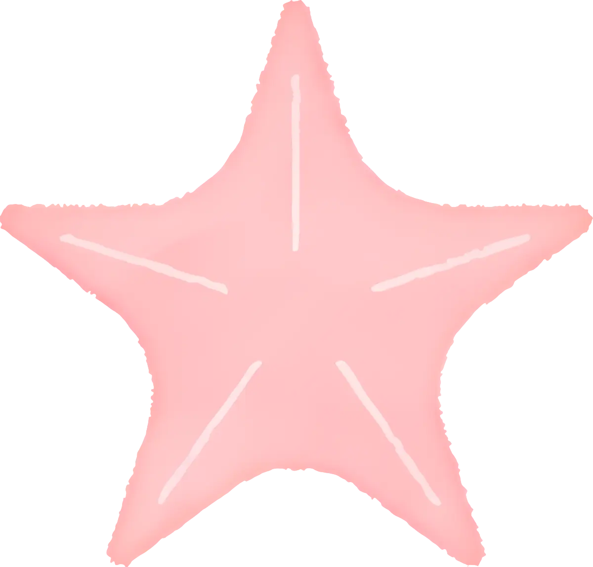 Pink Starfish Illustration