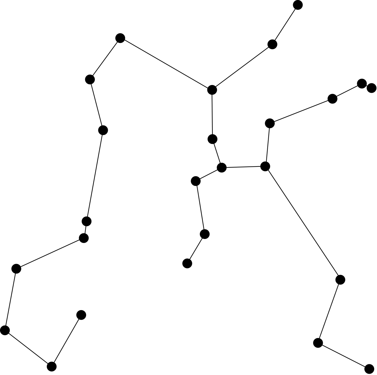 Star Constellation in the Night Sky