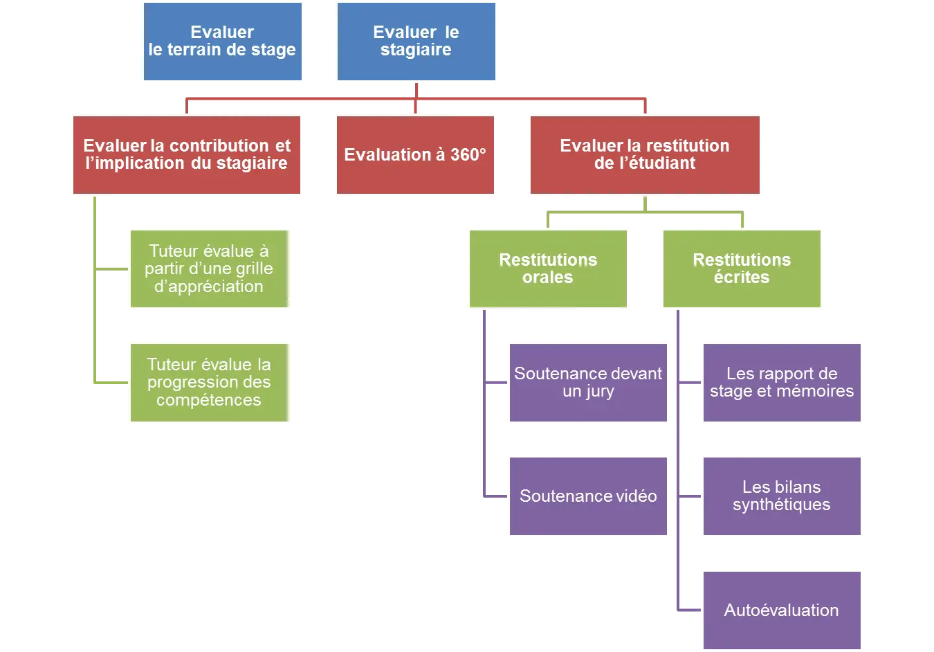 Evaluation Process Flowchart
