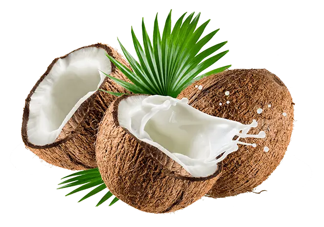 Coconut with Milk Splash for Tropical Freshness