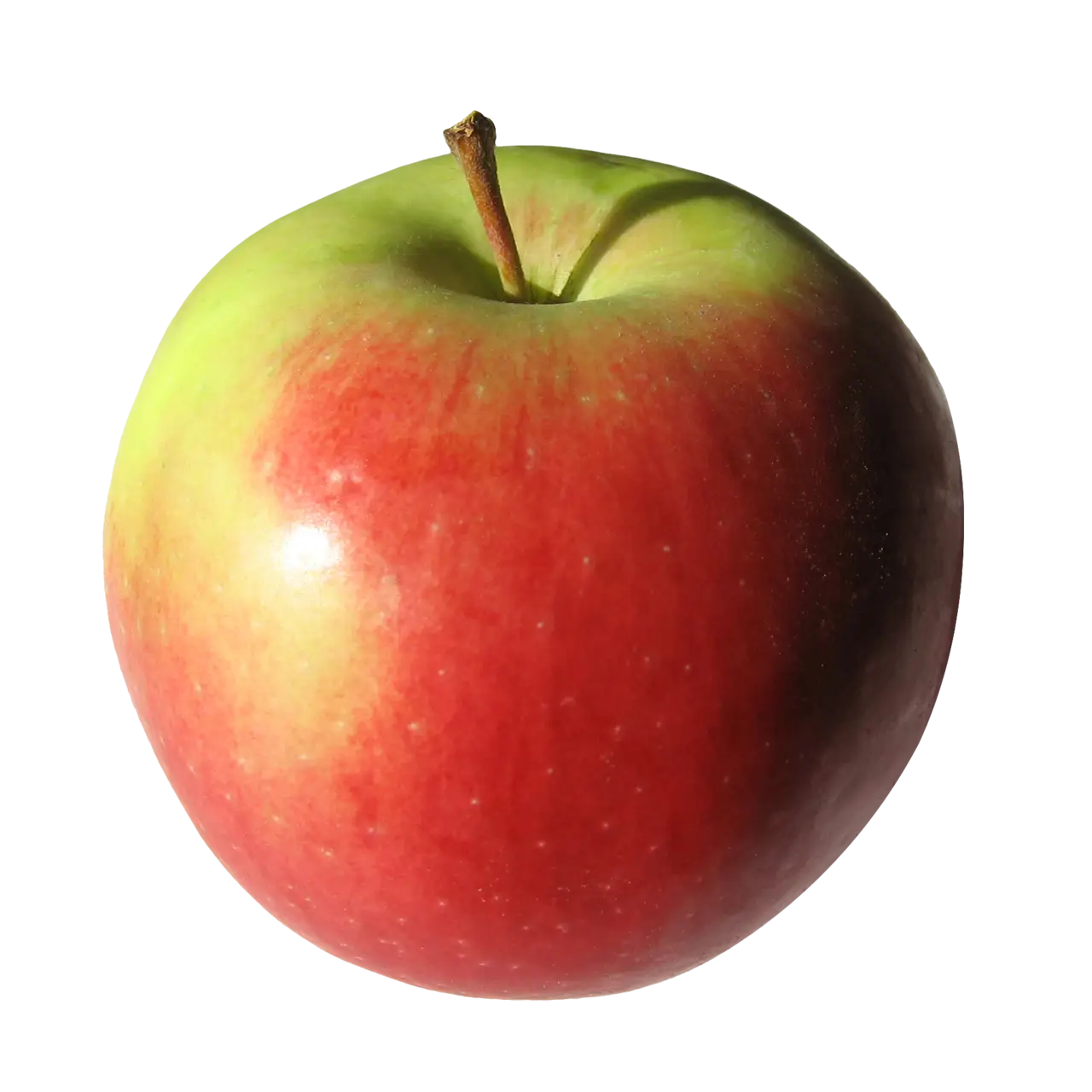 Fresh Red and Green Apple