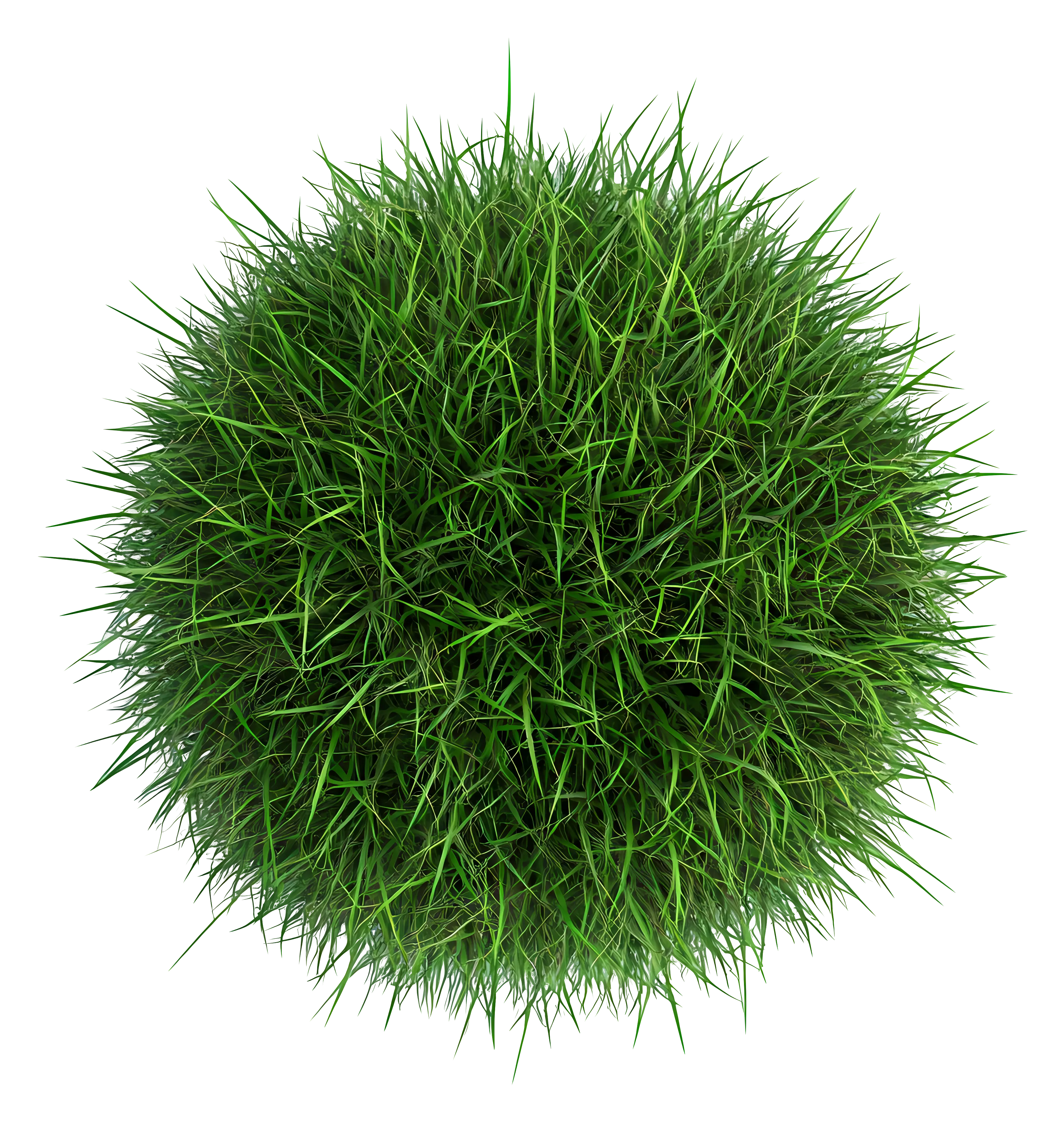 Green Grass Ball Illustration