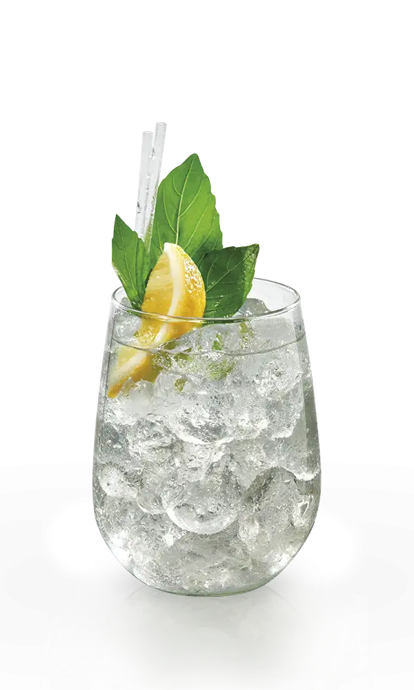 Refreshing Glass of Drink with Lemon
