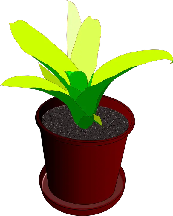 Potted Green Plant Illustration