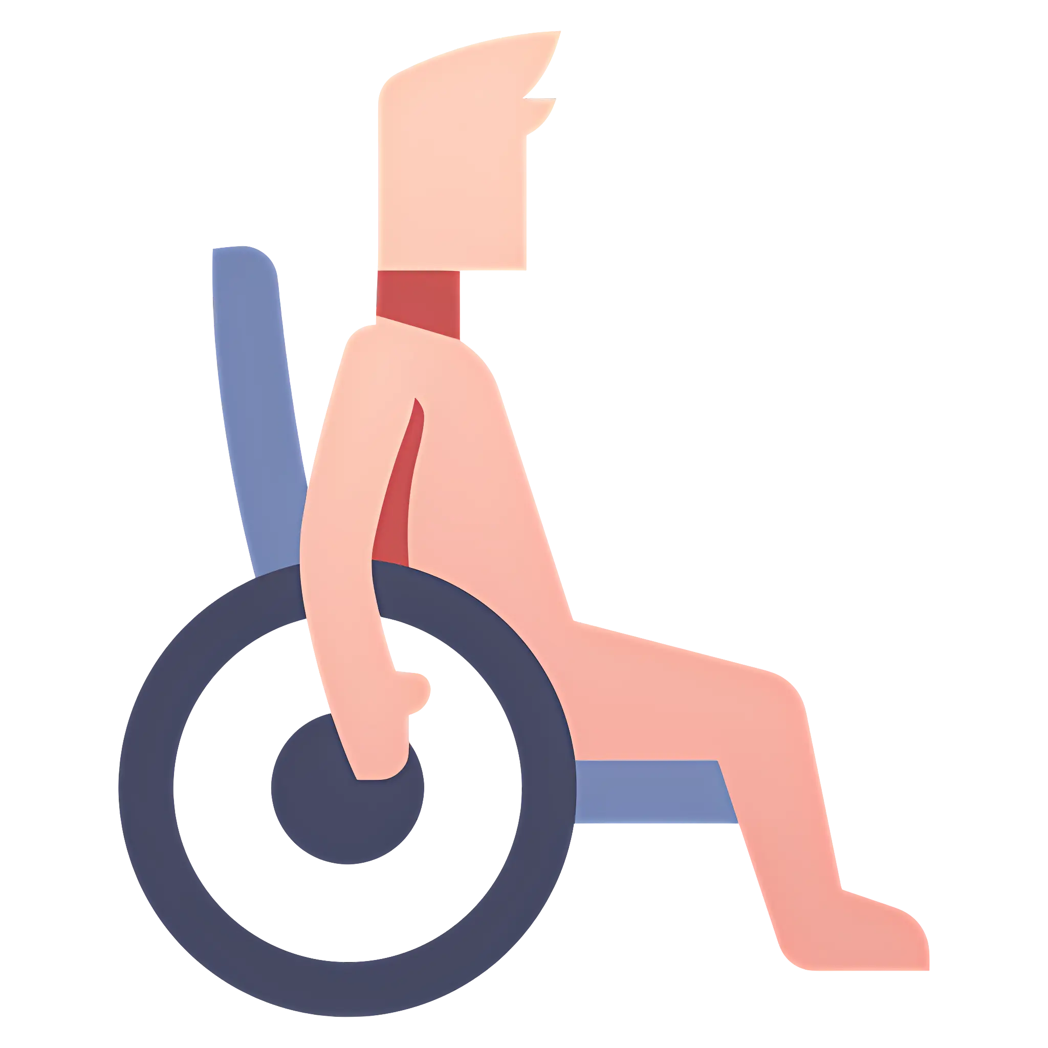 Person in a Wheelchair