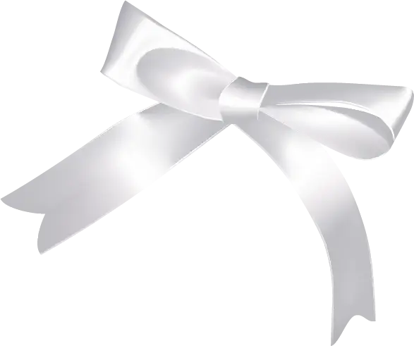 Elegant White Bow