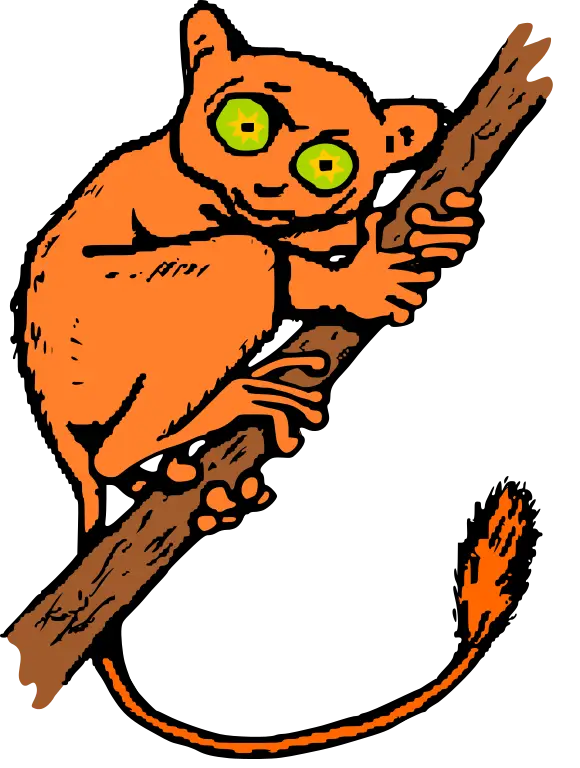 Orange Cartoon Animal on Branch