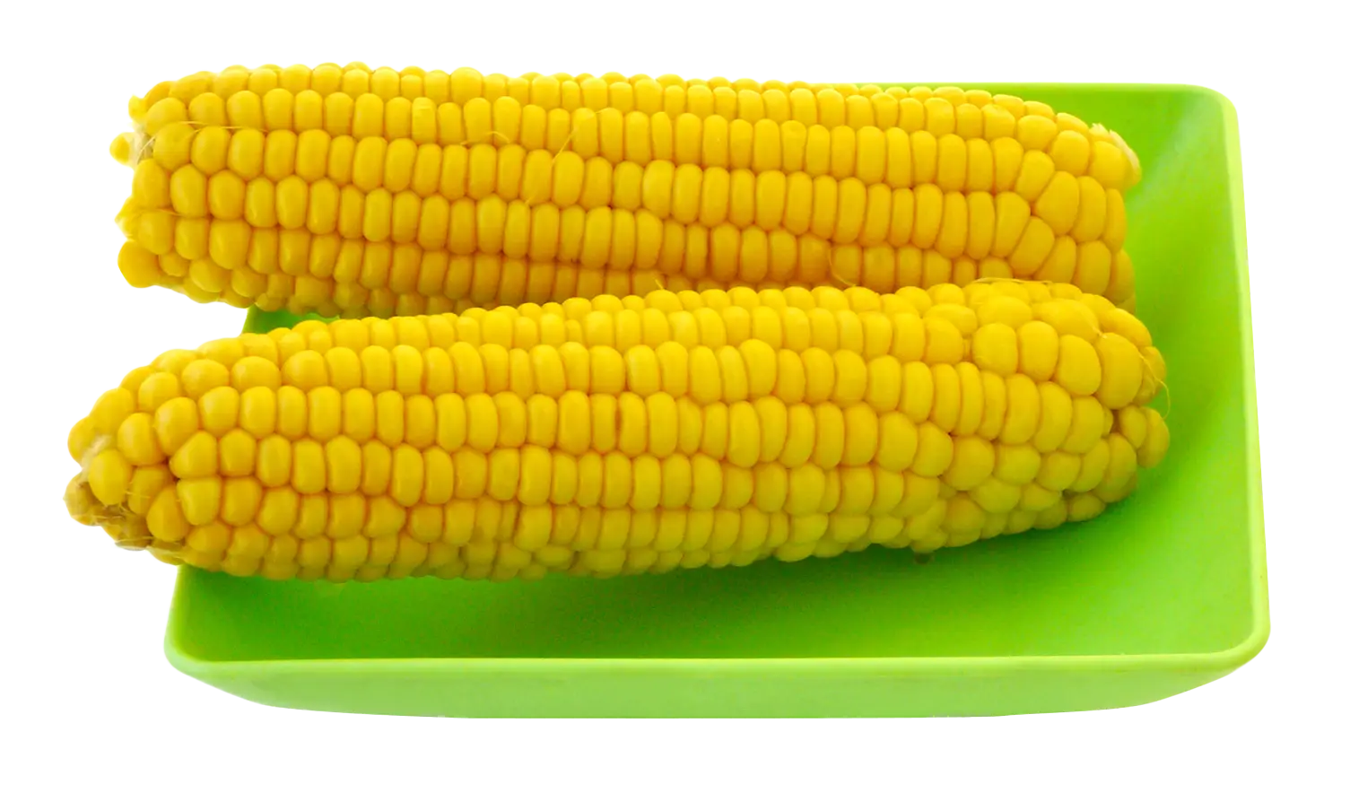 Fresh Corn on Green Plate