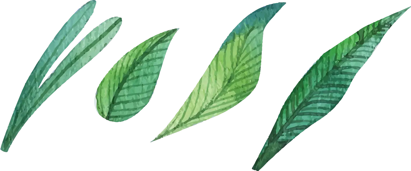 Collection of Green Leaves
