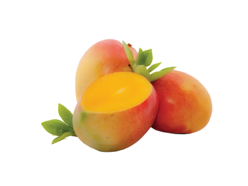 Juicy Tropical Mangoes