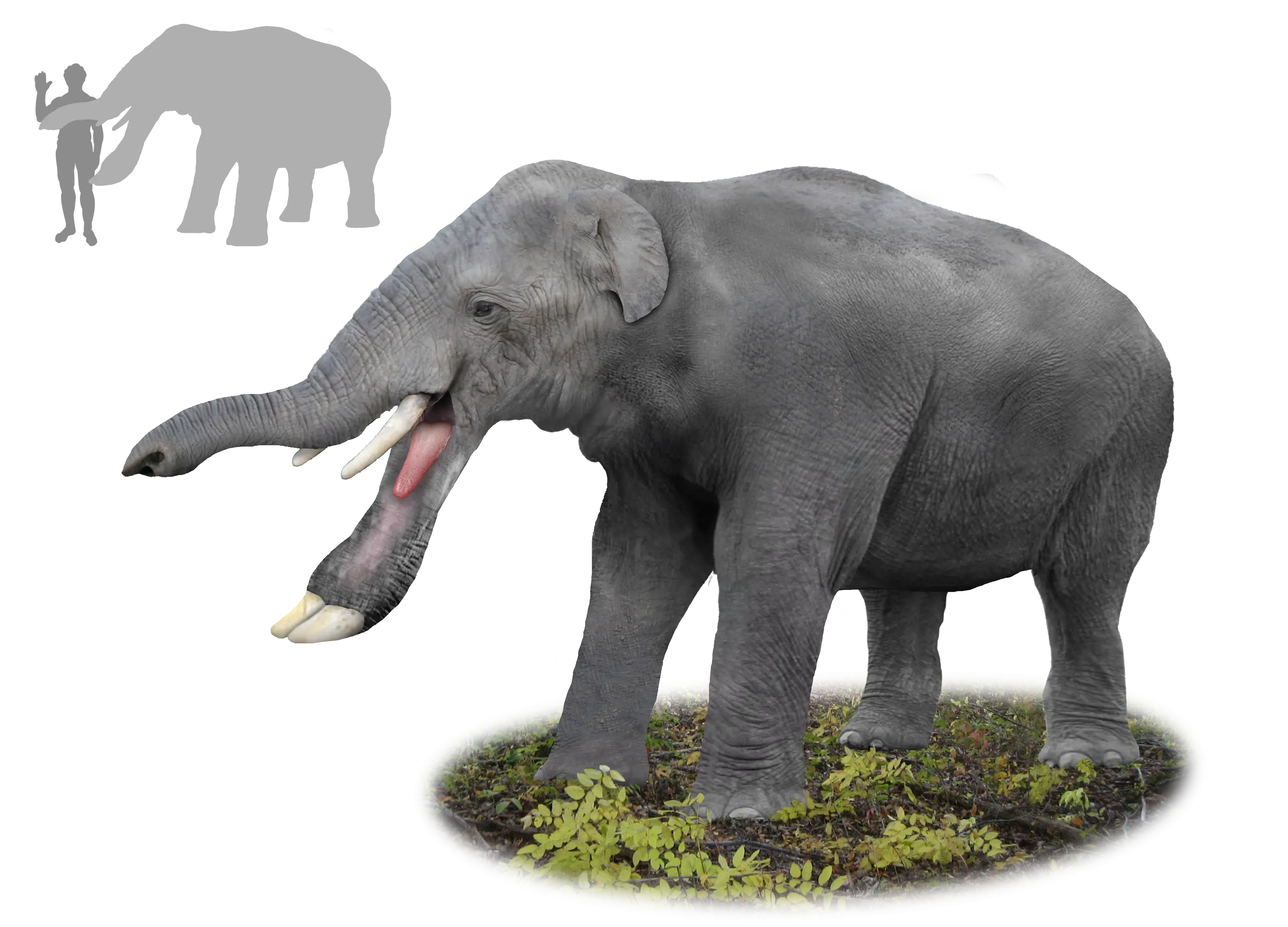 Prehistoric Elephant Illustration