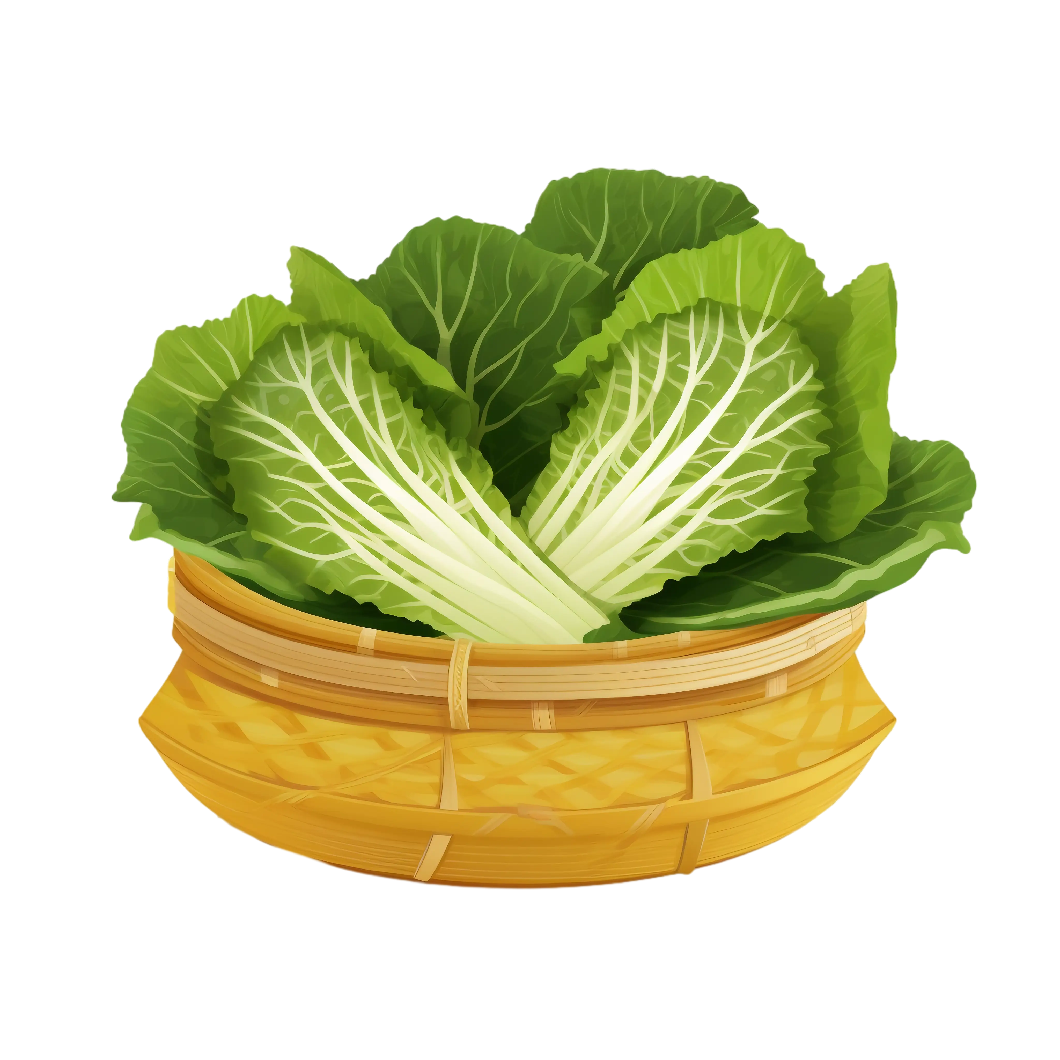 Fresh Green Lettuce in Basket