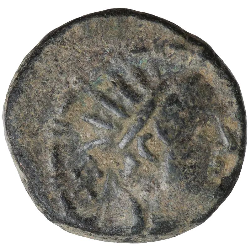 Antique Ancient Coin Close-Up