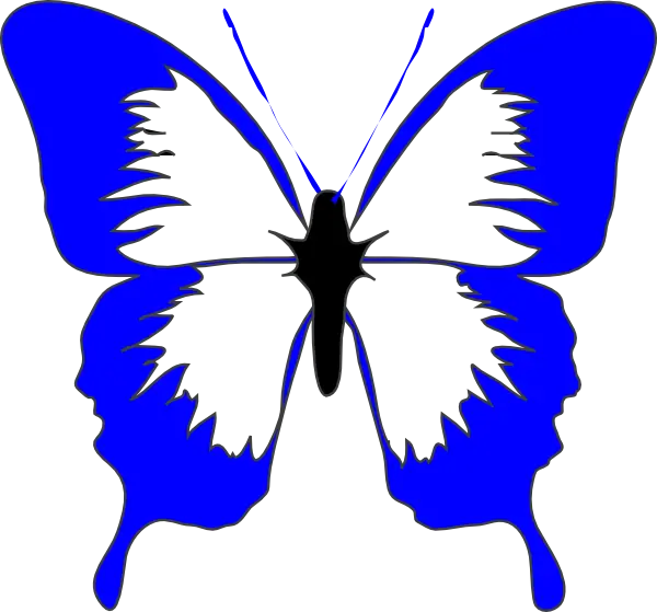 Blue and Black Butterfly Silhouette