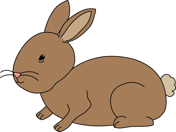 Brown Rabbit Illustration