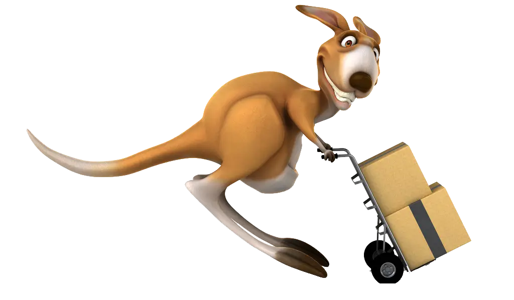 Kangaroo Delivering Packages