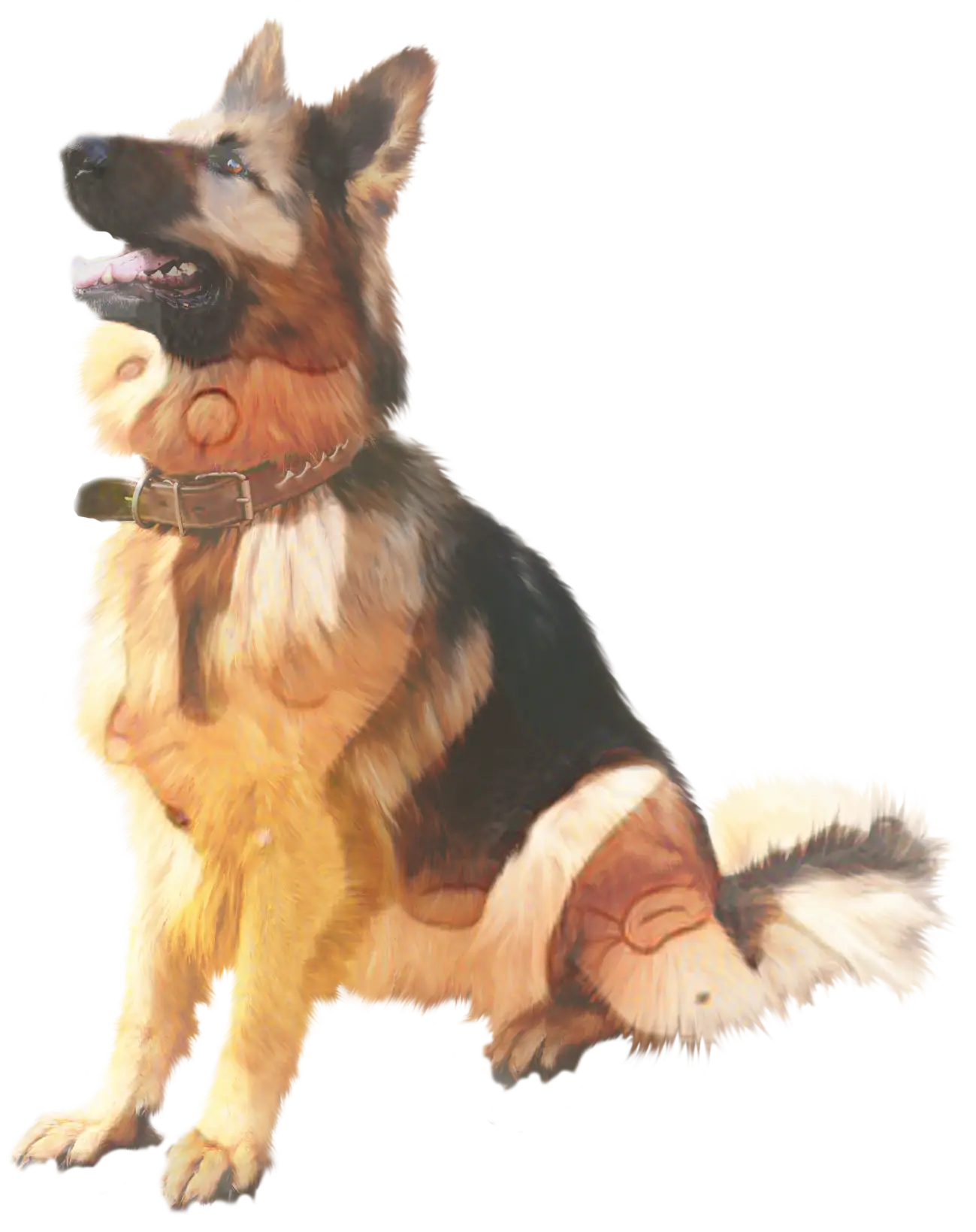 Alert and Sitting German Shepherd Dog