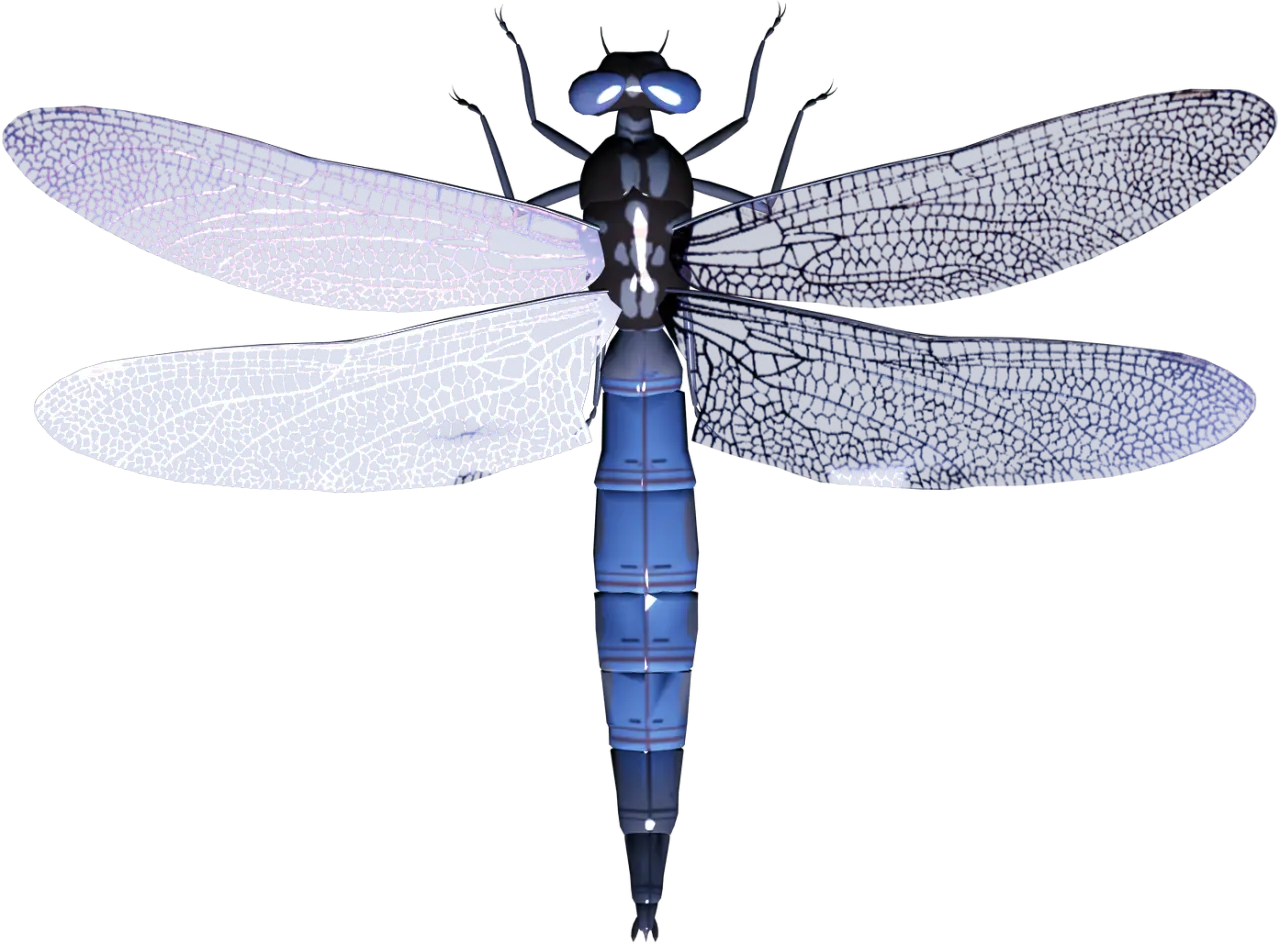 Blue Dragonfly with Delicate Wings
