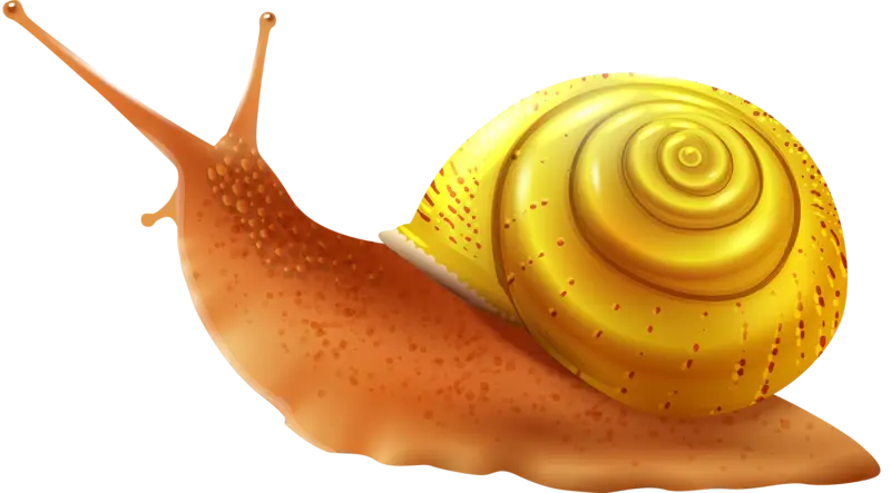 Golden Snail Illustration with Realistic Details