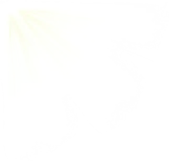 Transparent Sunlight Rays Effect