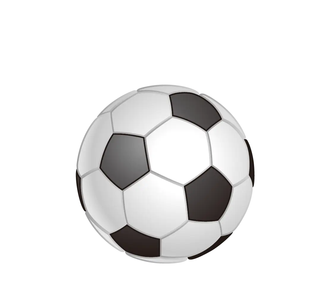 Classic Black and White Soccer Ball Illustration