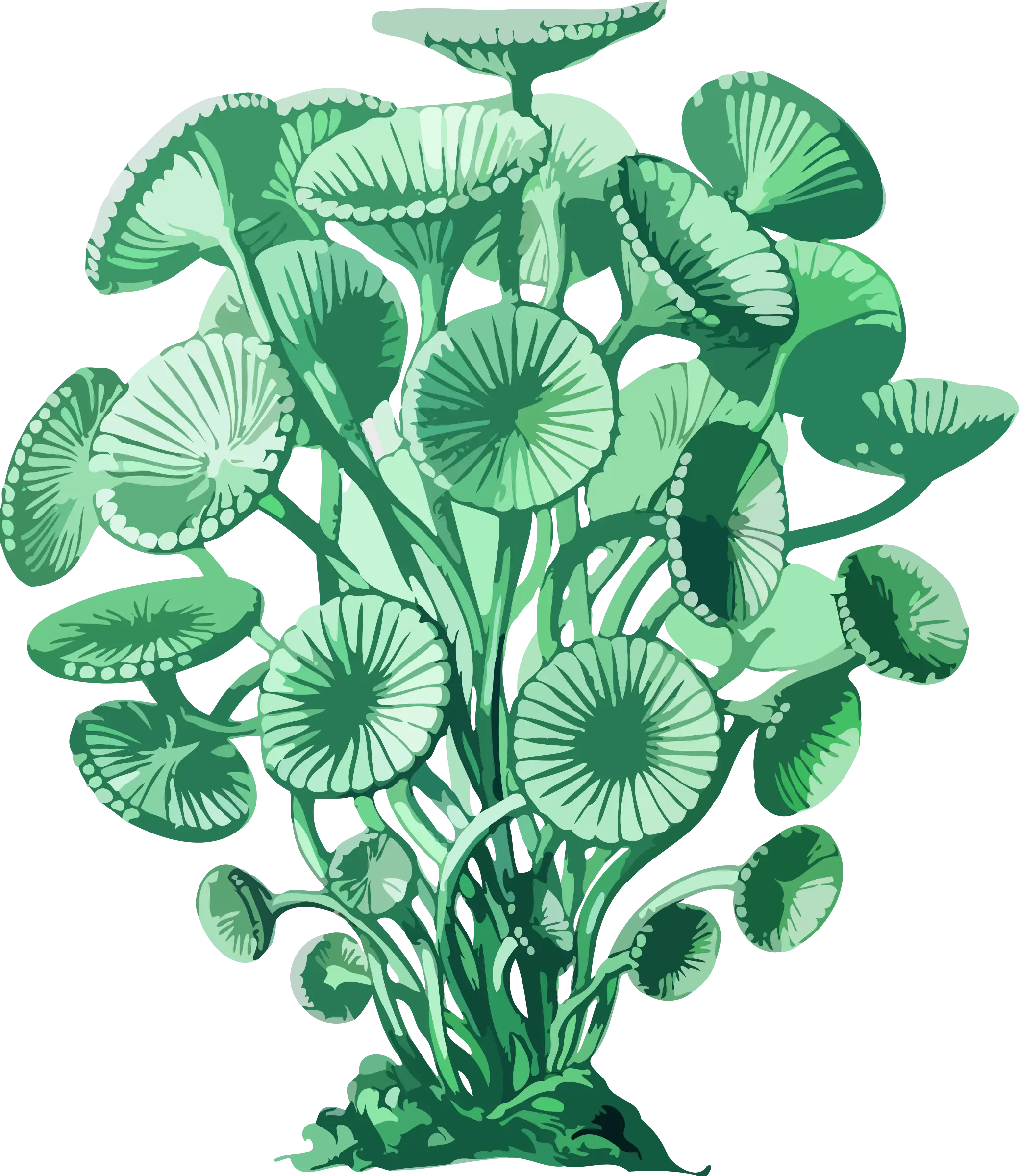 Green Mushrooms in Nature