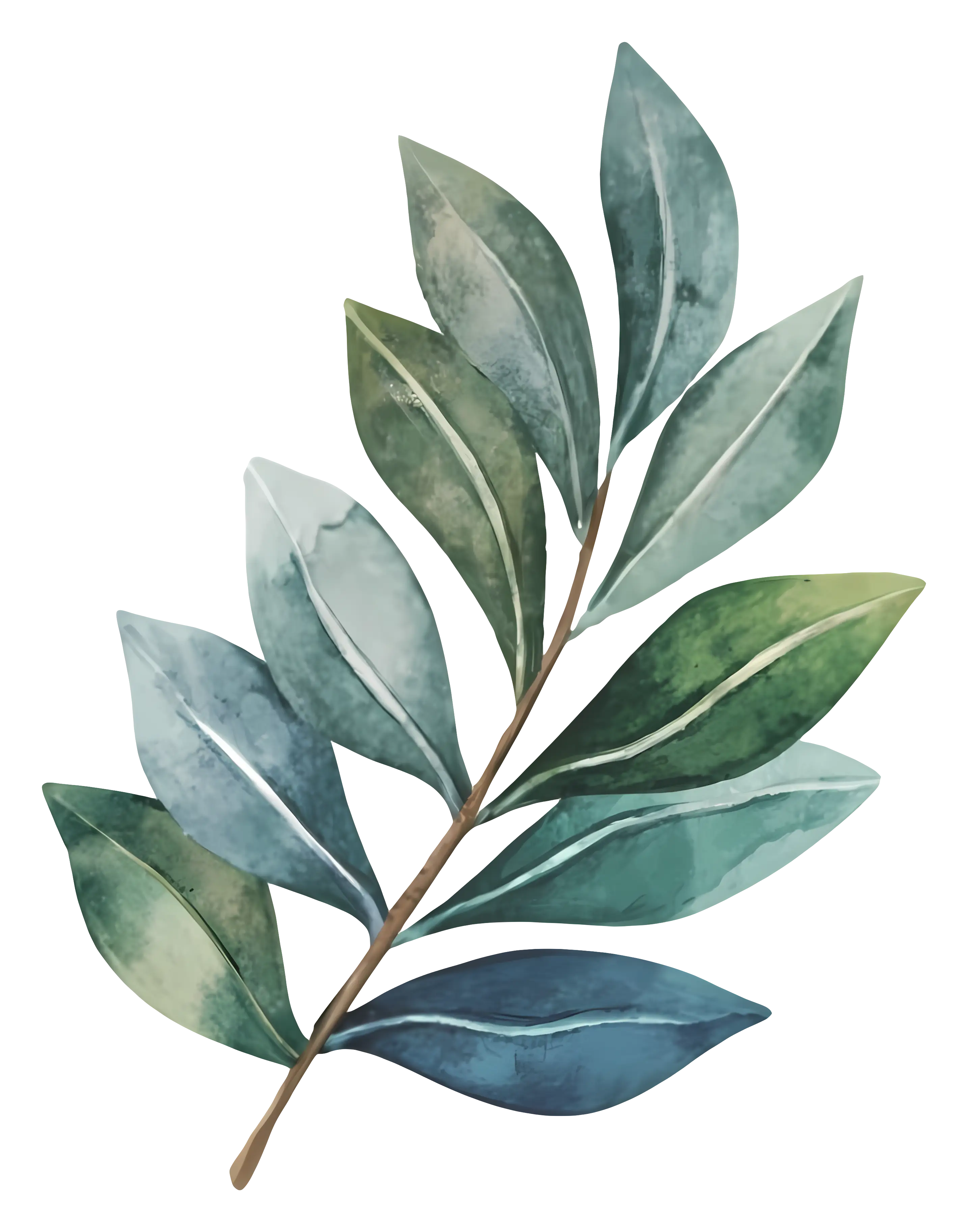 Watercolor Illustration of Green Leaf