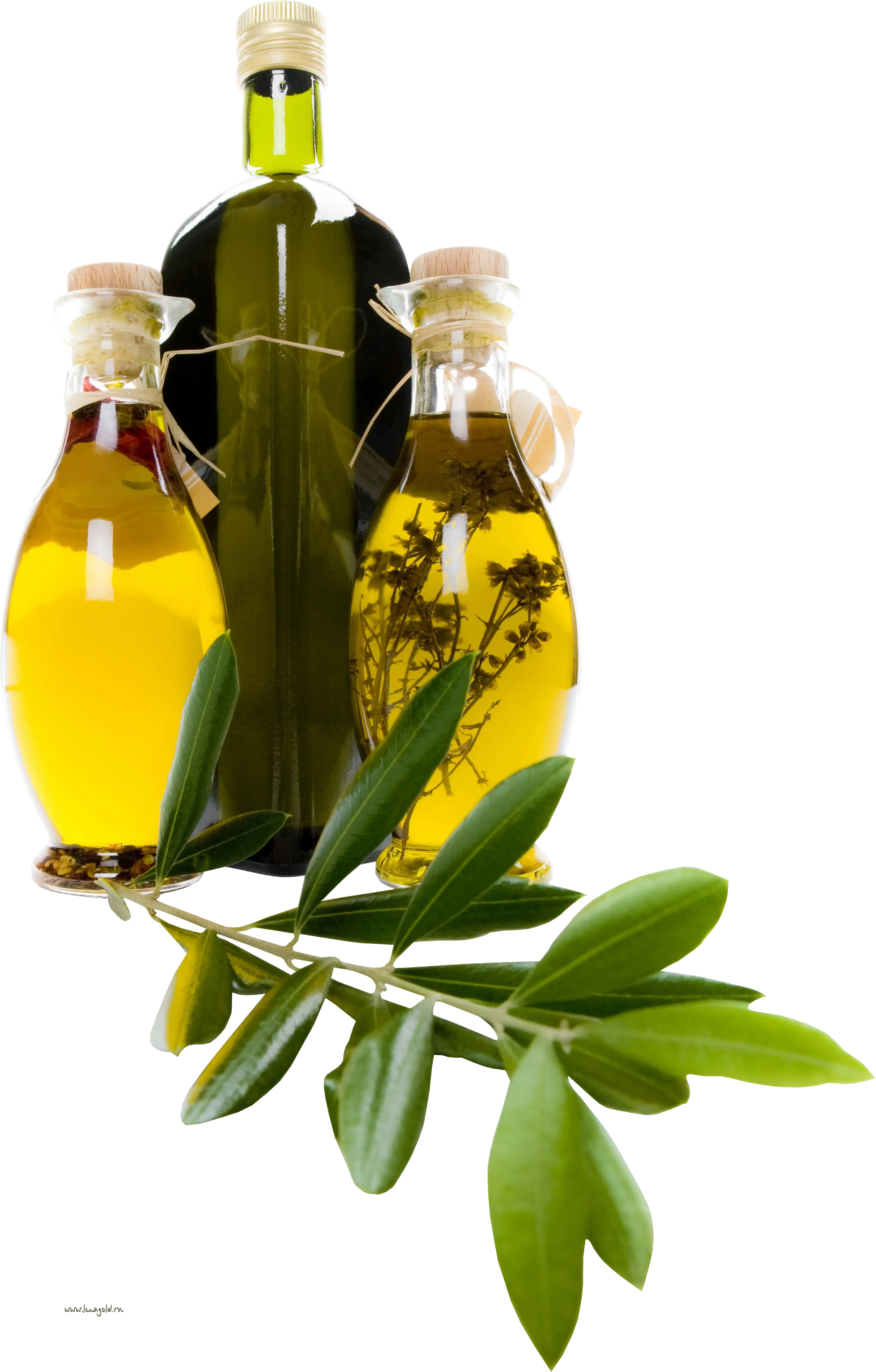 Healthy Olive Oil Bottles