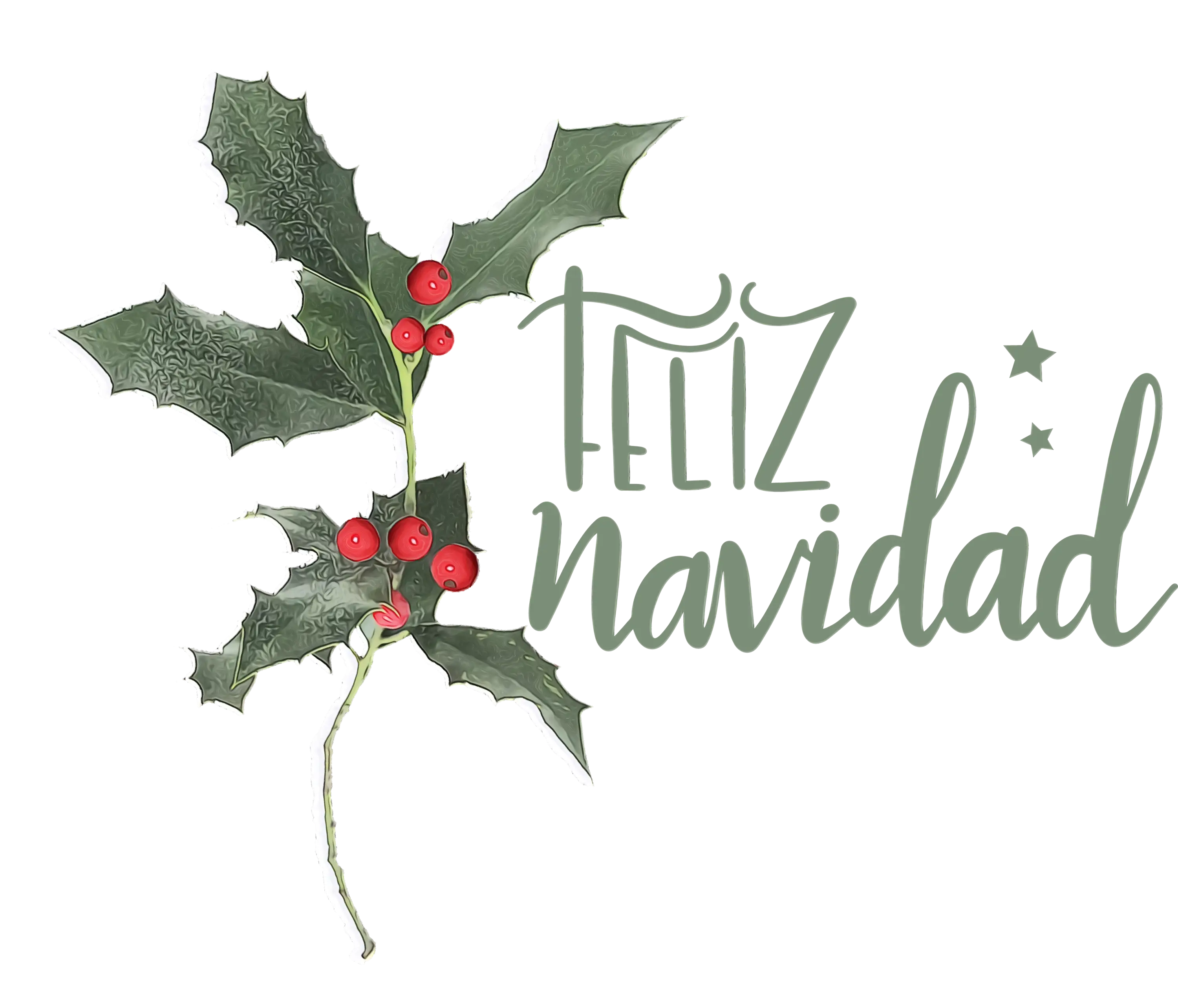 Feliz Navidad Holly Branch Decoration