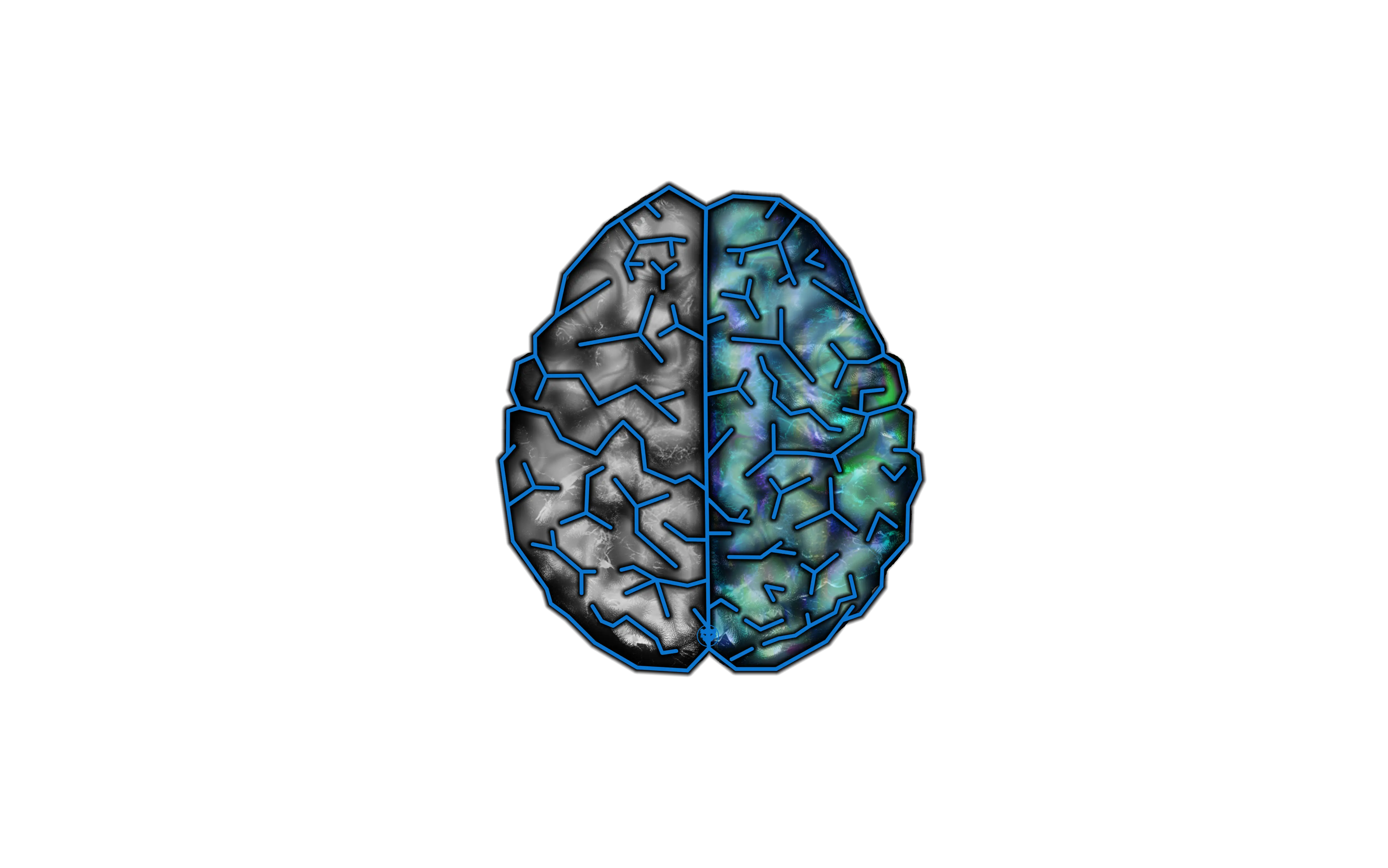 Brain Cartoon Illustration for Education Concept