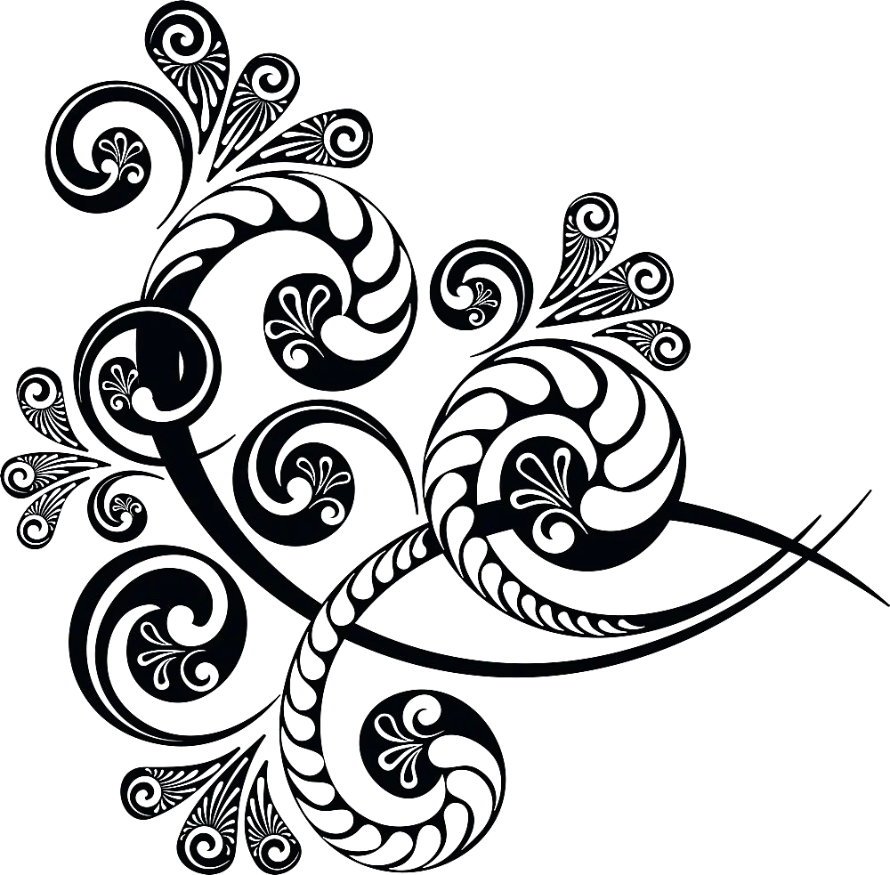 Black Paisley Pattern Illustration