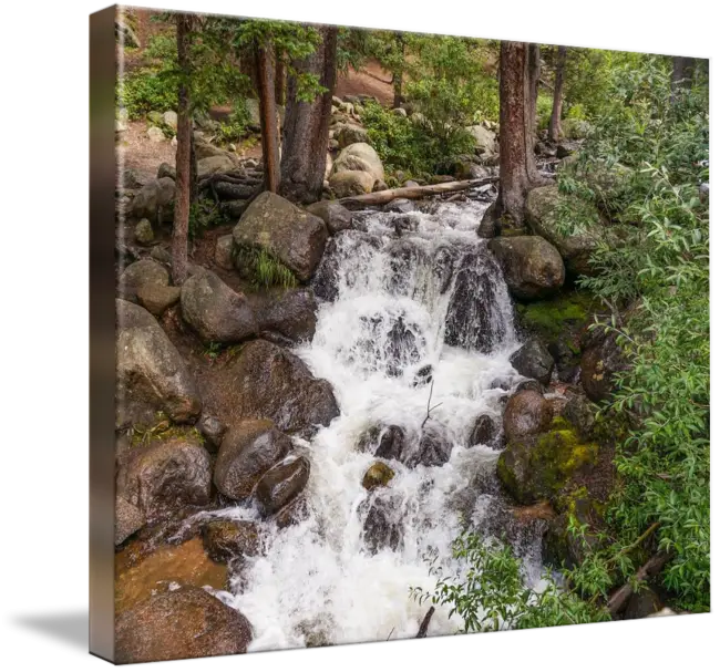 Tranquil Waterfall in a Lush Forest