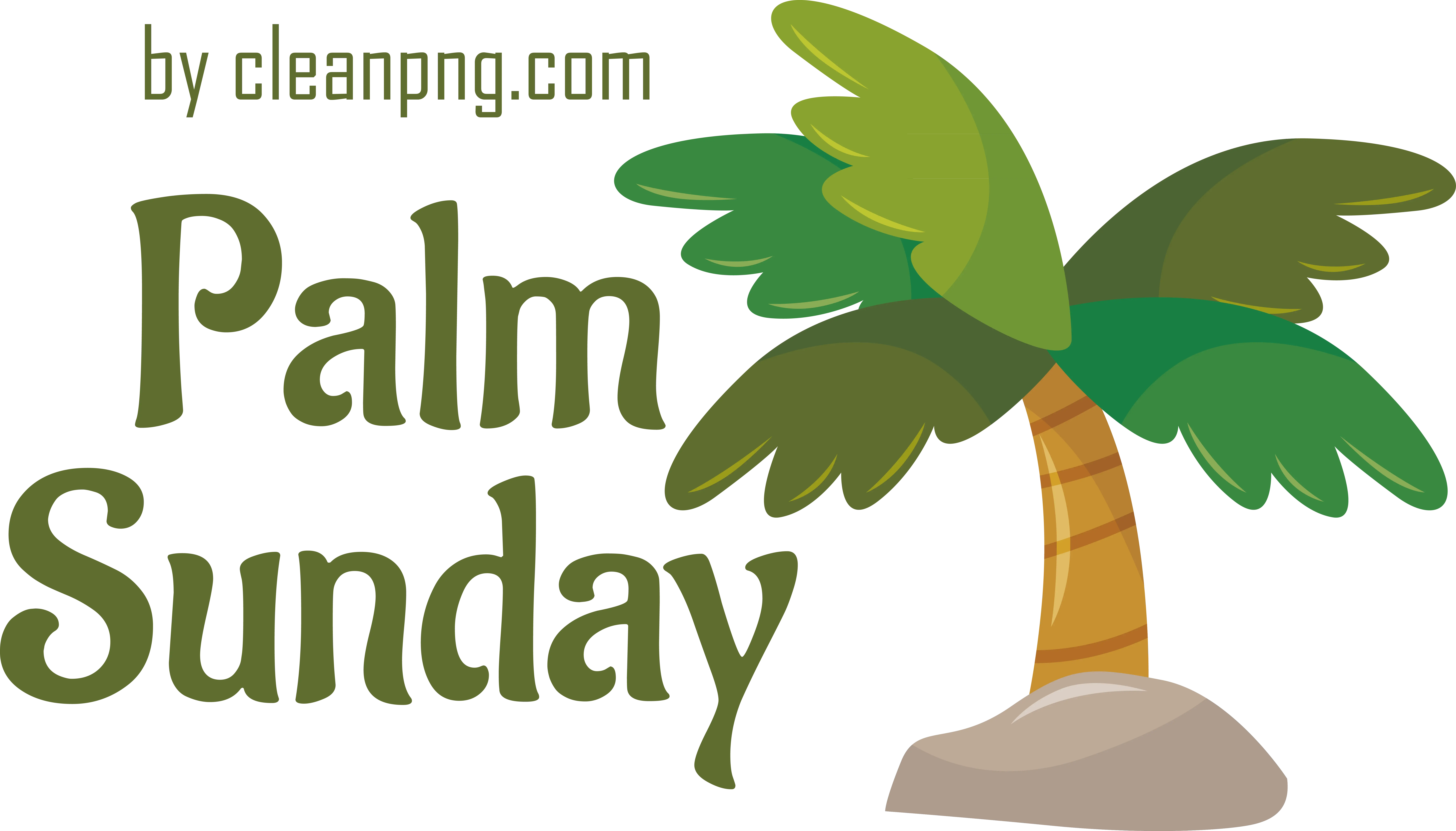 Tropical Palm Tree Illustration for Palm Sunday