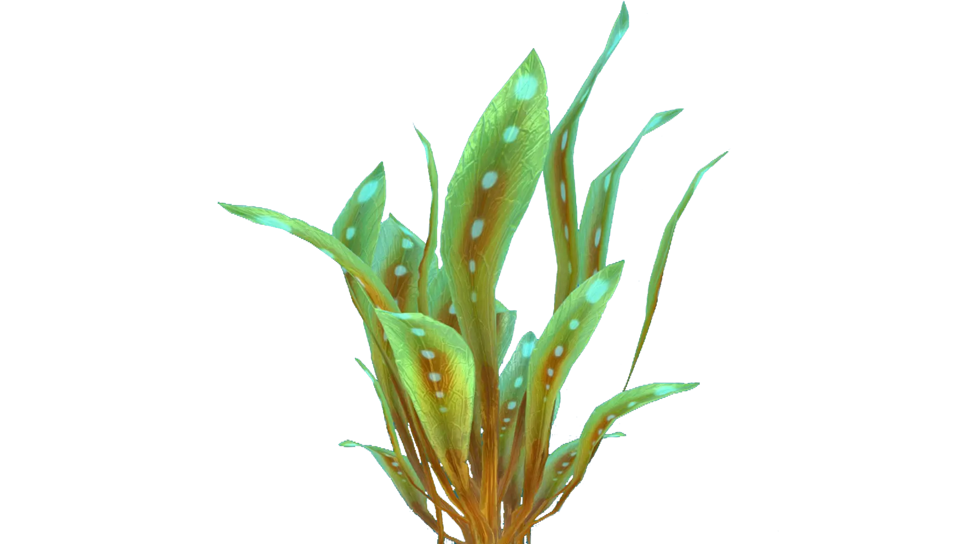 Green Aquatic Plant Illustration