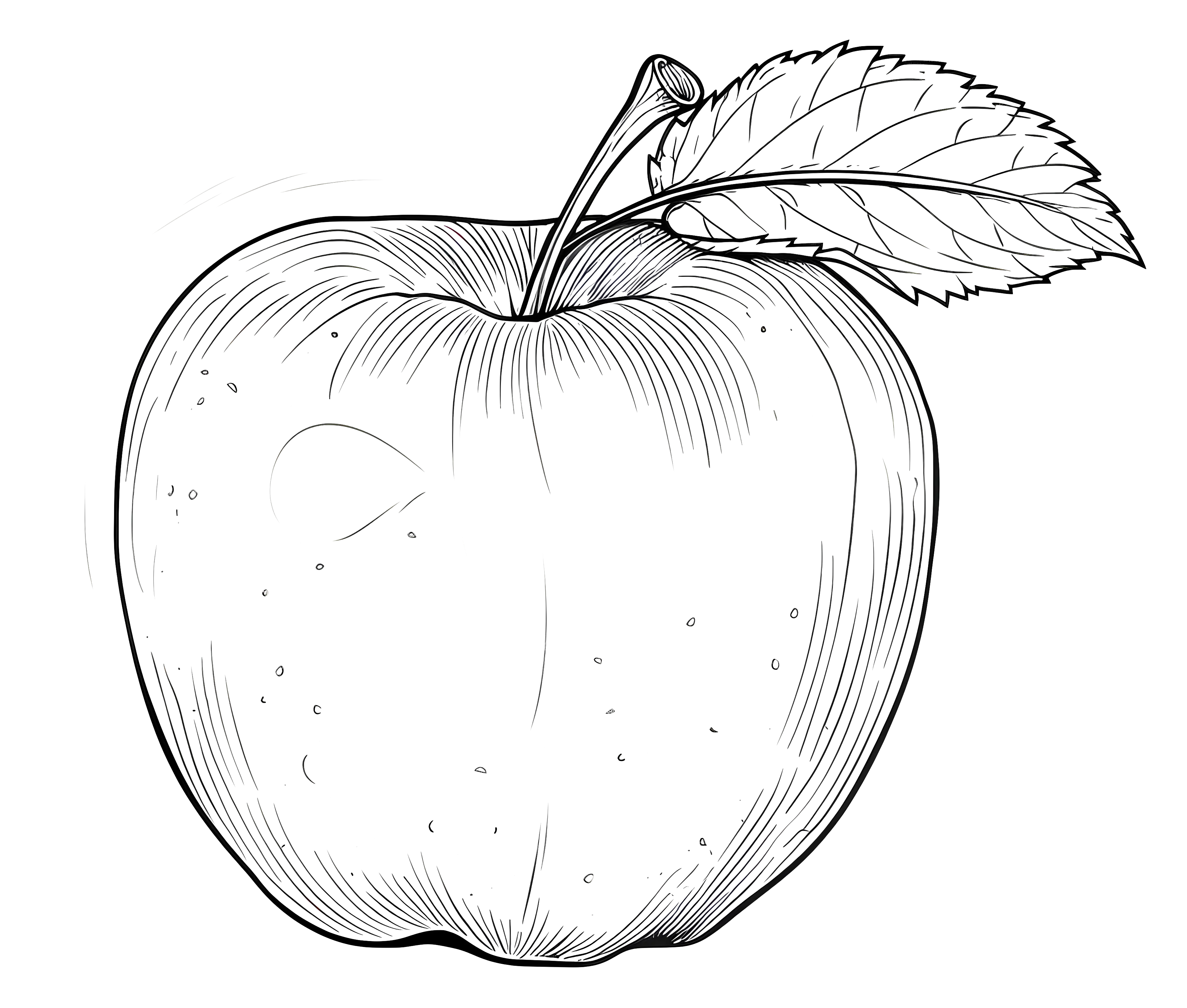 Apple Line Drawing Sketch with Leaf
