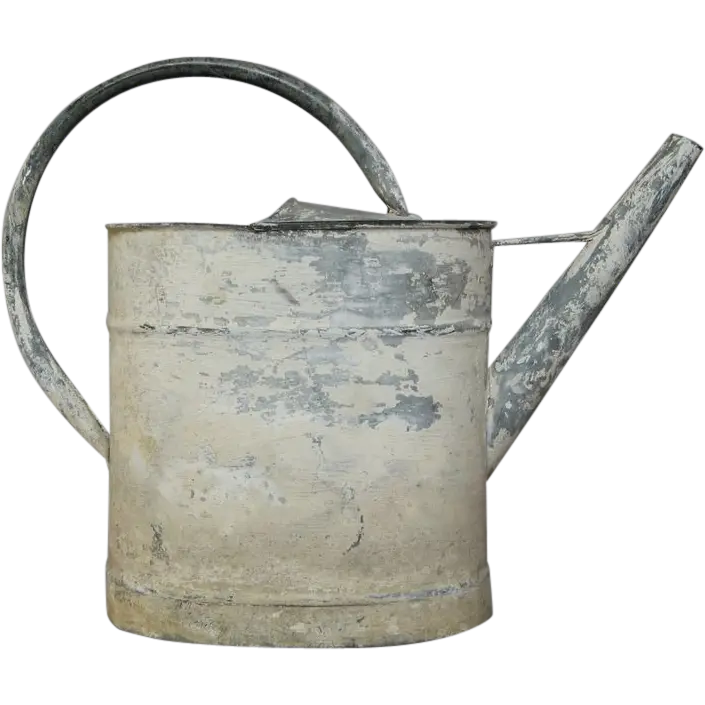 Rustic Old Metallic Watering Can