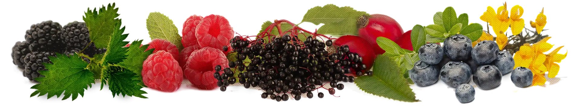 Fresh Mixed Berries Assortment