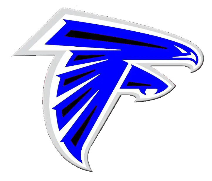 Blue Falcon Logo Design